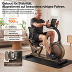 Niceday Recumbent Exercise Bike
