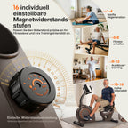 Niceday Recumbent Exercise Bike