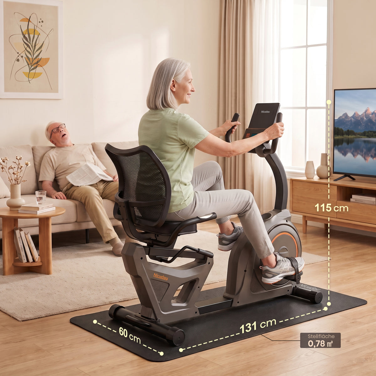 Niceday Recumbent Exercise Bike