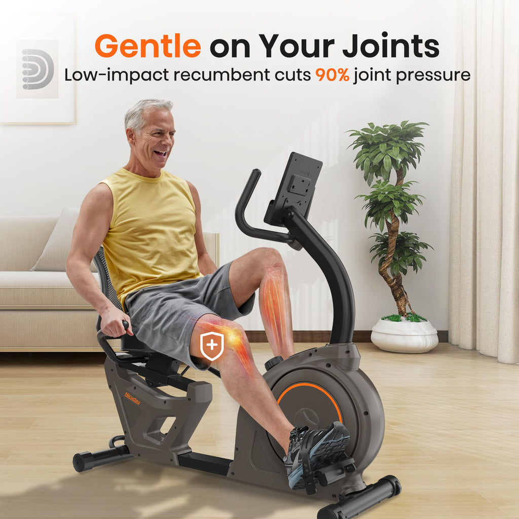 Niceday Recumbent Exercise Bike